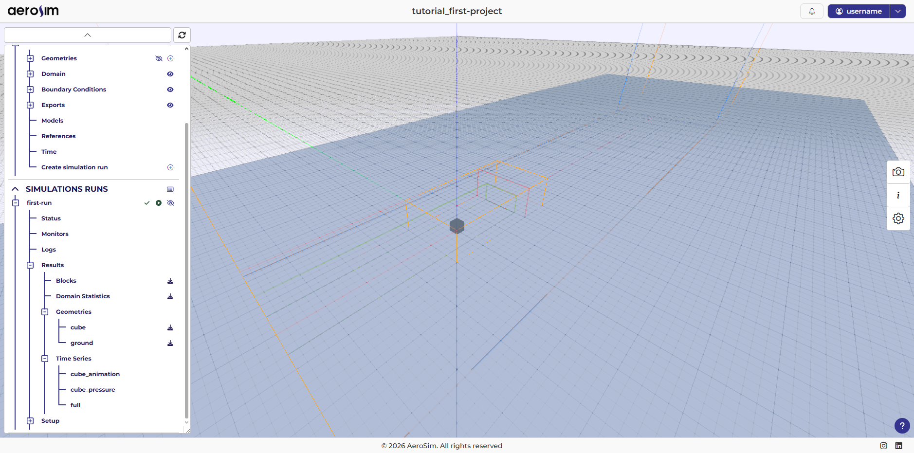 Results panel for a completed run